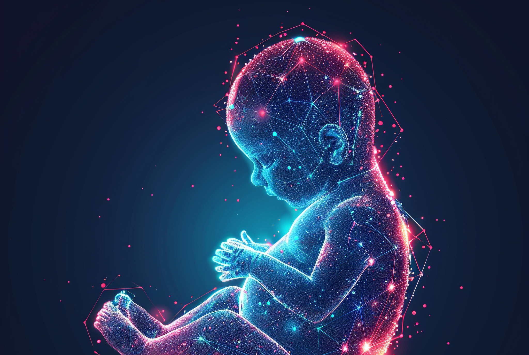 Imagem ilustrativa de um feto